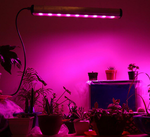 خرید led رشد گیاه