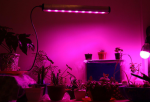 خرید led رشد گیاه