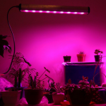 خرید led رشد گیاه